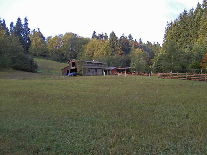 Our 45+ yr old barn