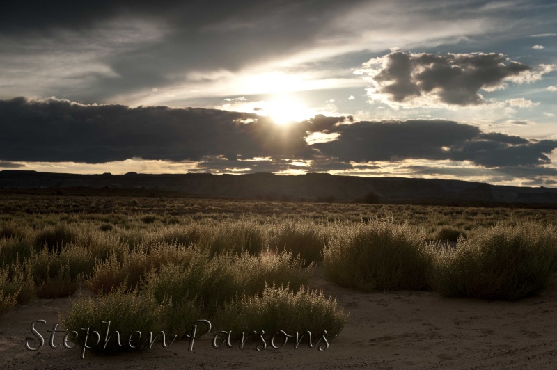 Our last night at Lake Powell.   Nice backlight on the brush.