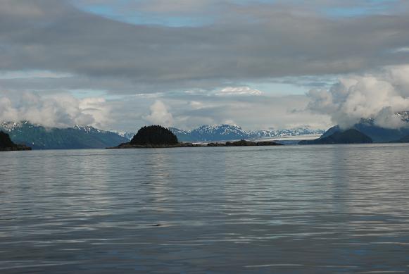 Our local scenery for more than a month