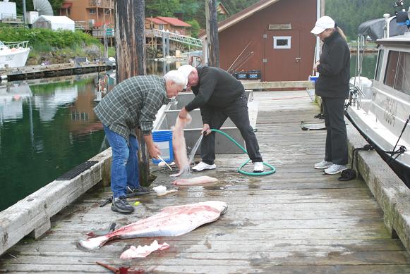 Our neighbor at Elfin Cove "Bud"