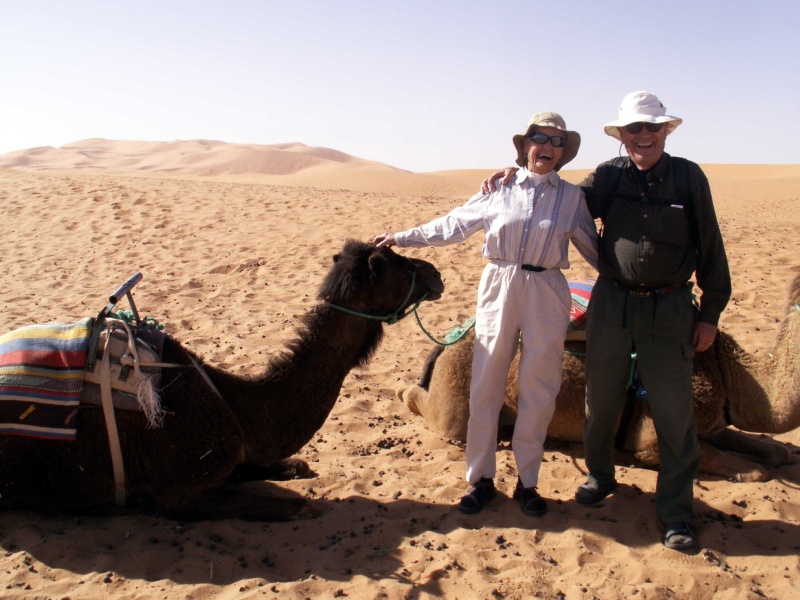 Our Ships of the Desert