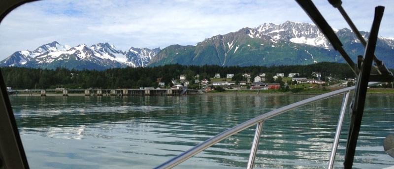 Our view from the boat as we are entering Haines.