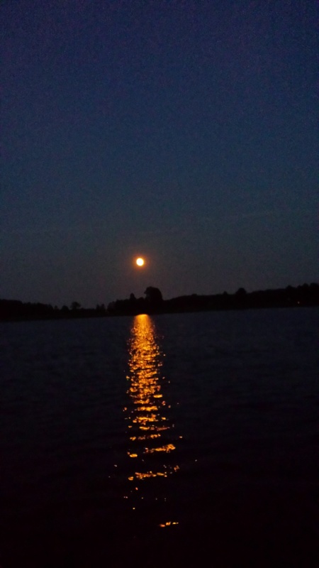 Our view while sitting on the dock at River Rest