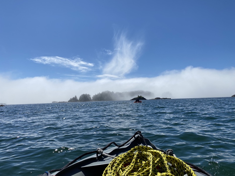 Out of Mirror Harbor on the Kaboats looking at whales