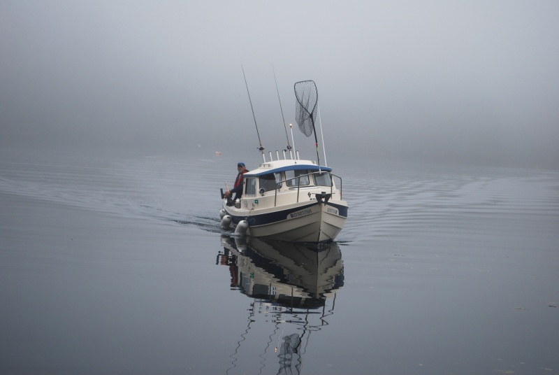 Out of the fog