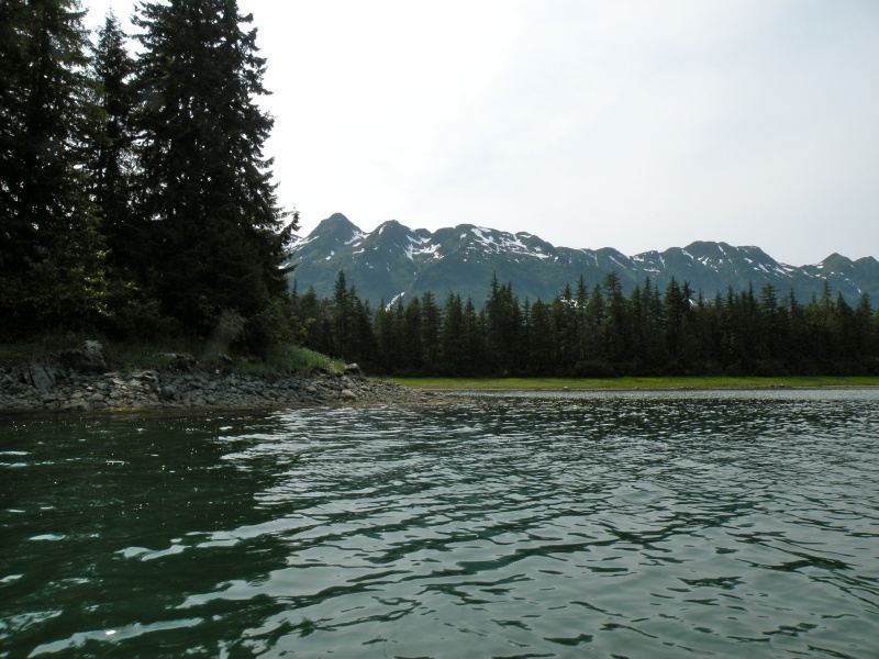 Outcrop near Oliver Inlet tram