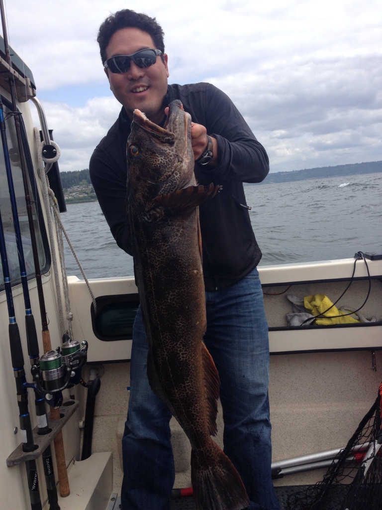 Over sized ling released at possession