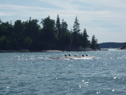 P1010672