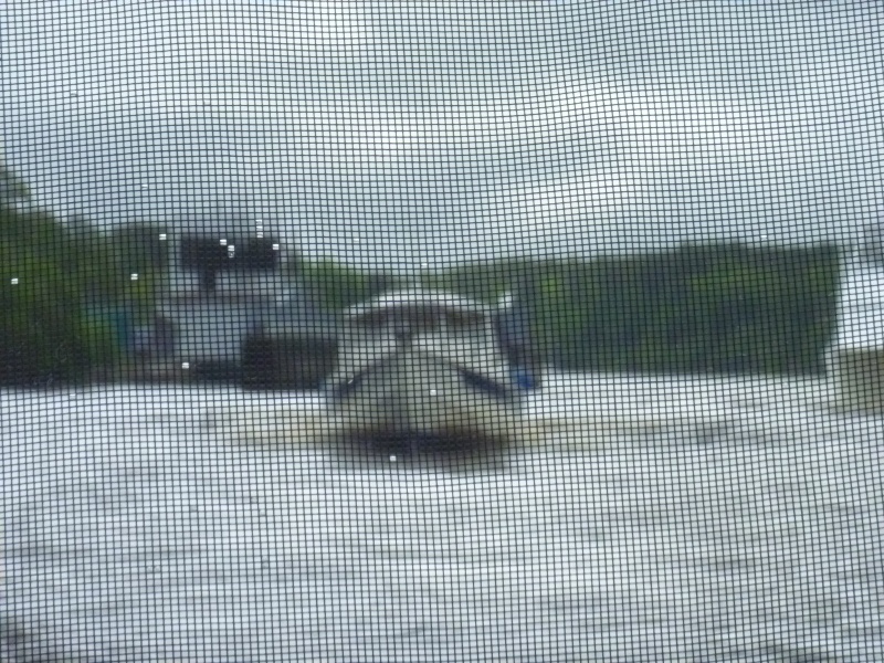 P1010936