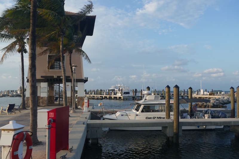 P1030271
