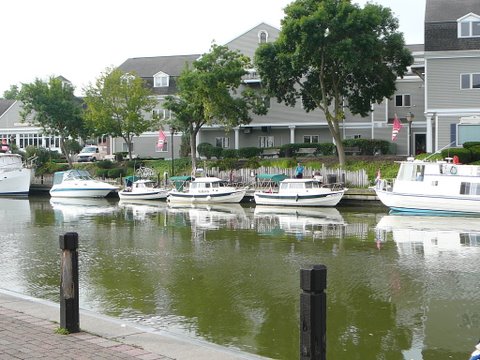 P1180251