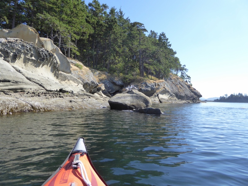 Paddling around to Little Sucia and Fox Cove