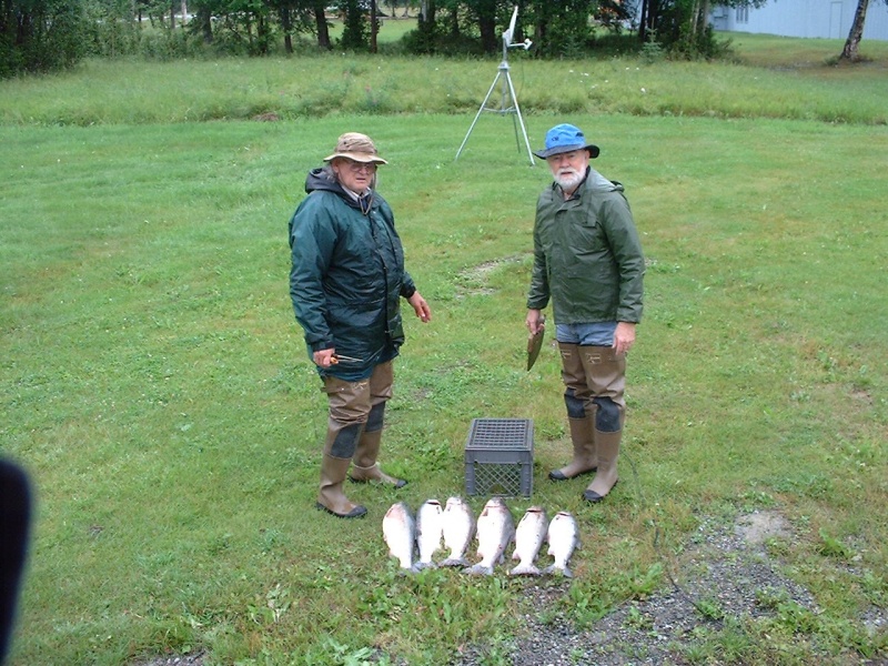 palmer Alaska
