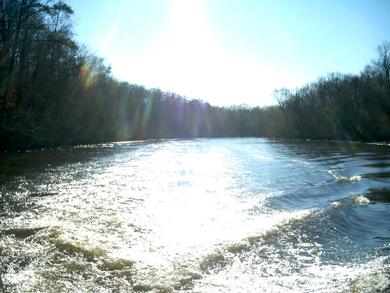 Pamunkey River (upper York River), Virginia.