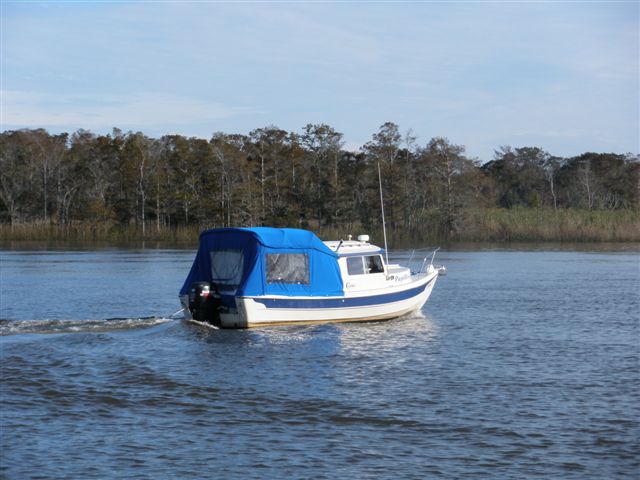Papillon heading home form the Gulf Coast Gathering
