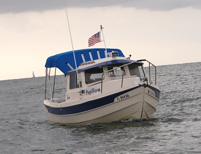 Papillon on the Gulf