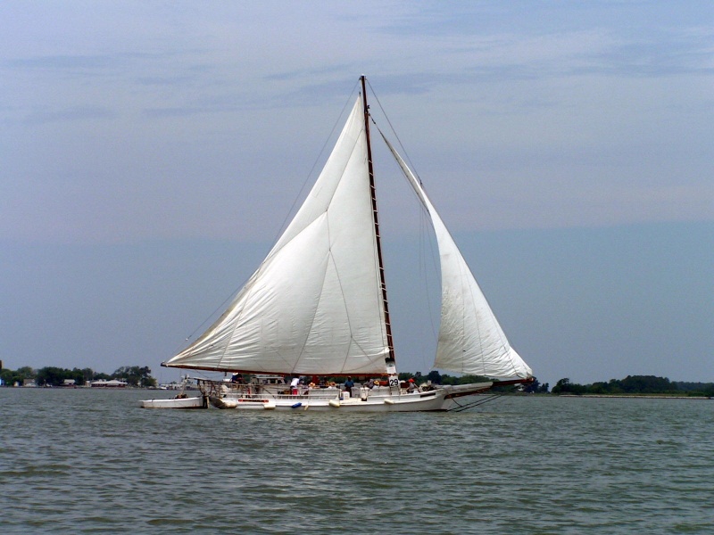 (Pat Anderson) A Skipjack Under Sail