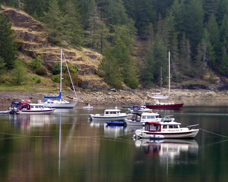 (Pat Anderson) Boats at Roscoe Cove 9-15-05