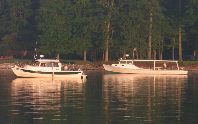 (Pat Anderson) Halcyon and Chesapeake Bay Workboat - Early Morning