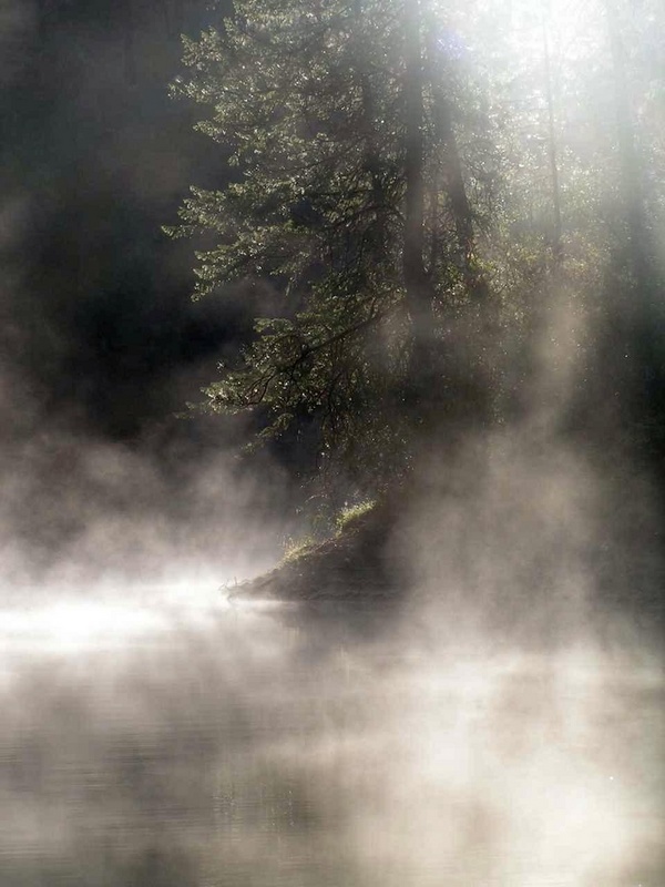 (Pat Anderson)