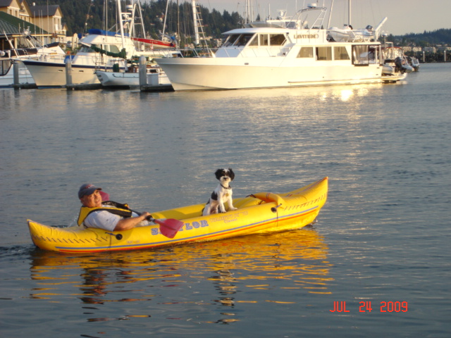 Pat & Baxter
DAYDREAM