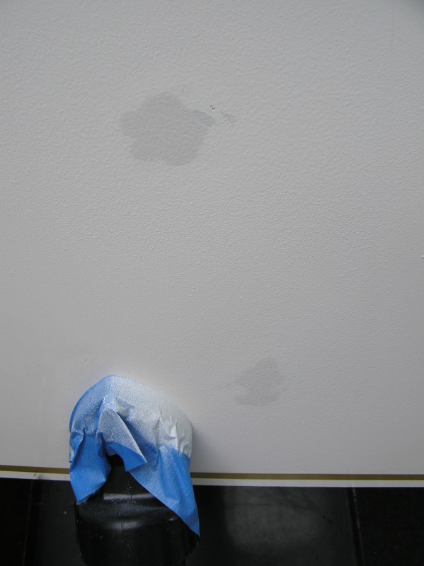 Patches became visible overnight.  Both these are more "wet" than the other two.  It has me confused.