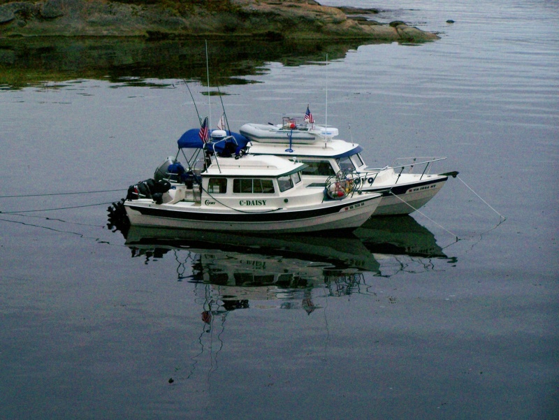 Patos Island 08