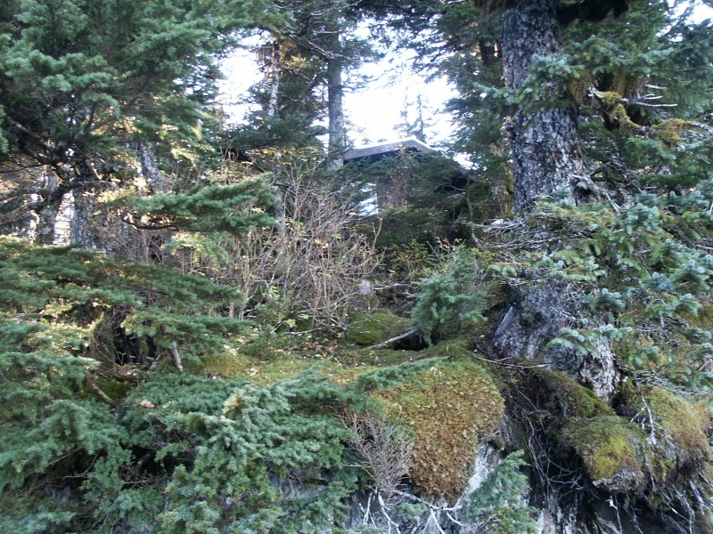 Paulson Bay Cabin