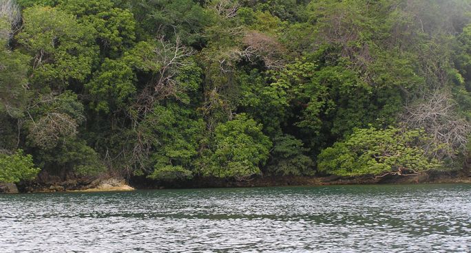 Pearl Island view a