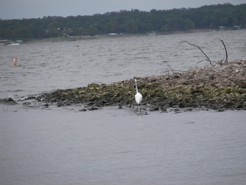 Peeking from a lee shore... It's actually about 3 miles to those docks across the water!