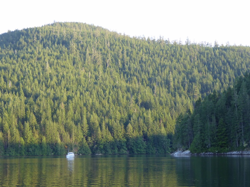Per a local's recommendation at Comox, anchored in Waiatt Bay on Quadra Island late Tuesday evening, and still amazed by the relative lack of other boats