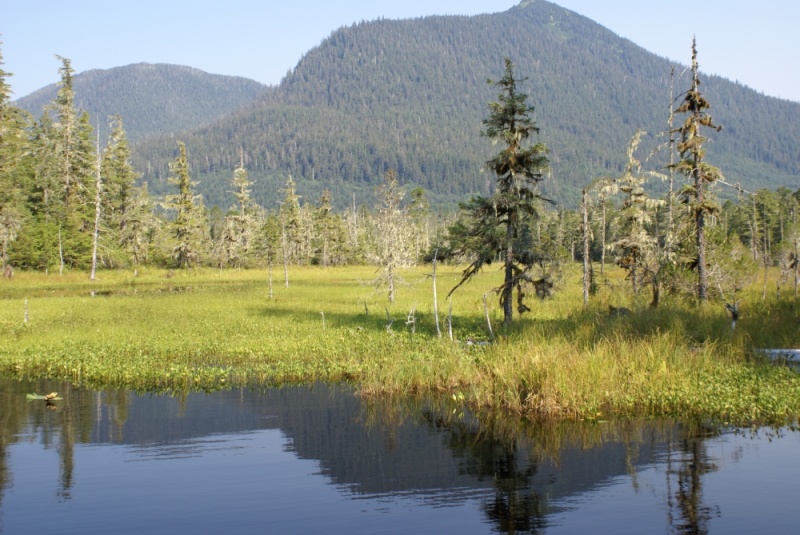 Petersburg, 2010 103 - Ohmer Creek Trail