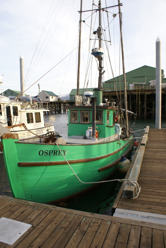 Petersburg 2011.  Wooden boat,"Osprey," built in 1918, still in use.
