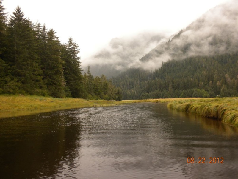 Petersburg 2012 - Up the Creek, just below Hoagies Hole 02