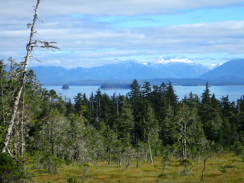 Petersburg 2016 - Frederick Sound from Ravens' Roost Trail.  P8070027