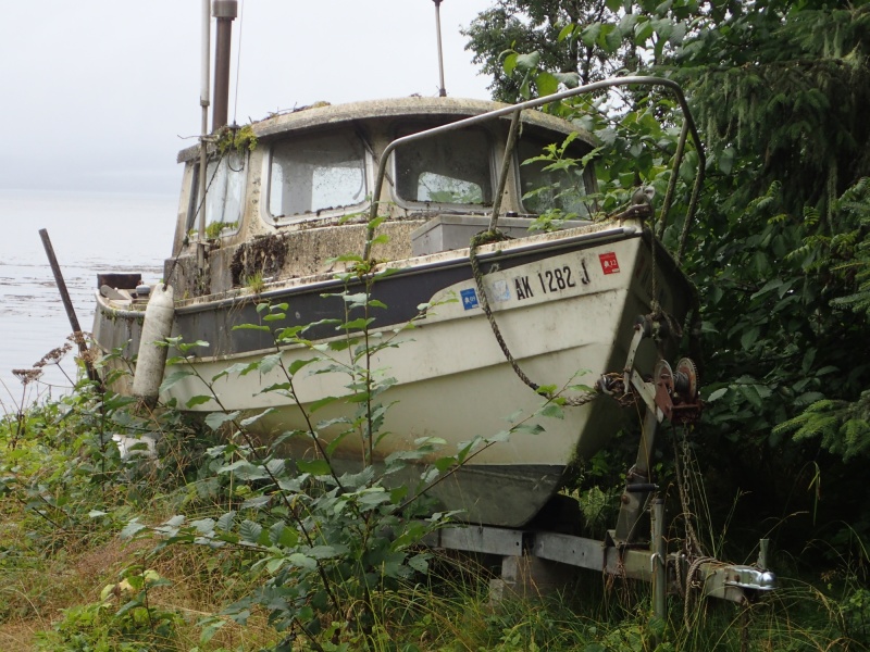 Petersburg C-Dory, "Barracuda" fallen on hard times.  Petersburg 2016 P8110044