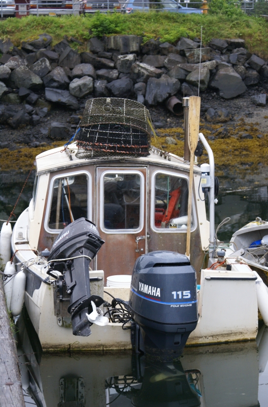 Petersburg C-Dory, "Barracuda."  Inside Passage 2011 245