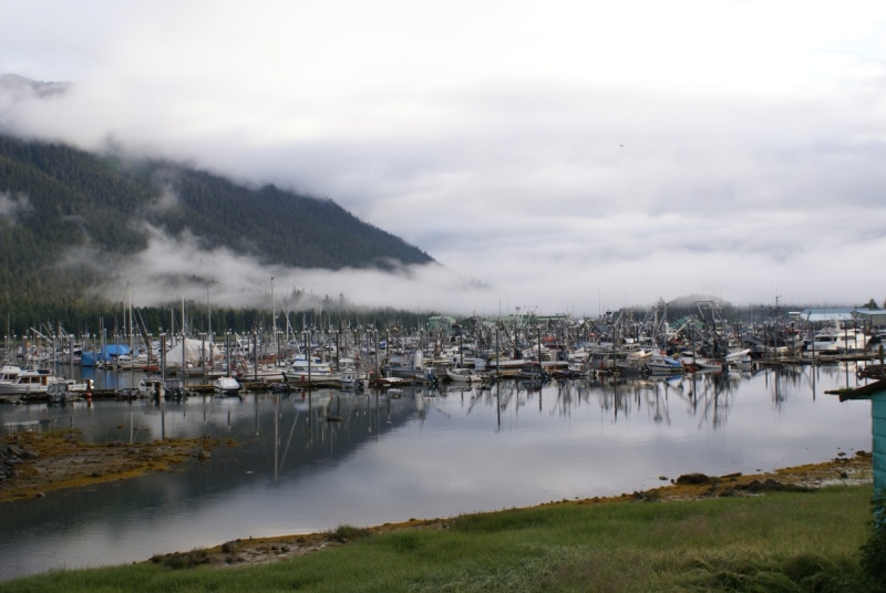 Petersburg Harbor 1