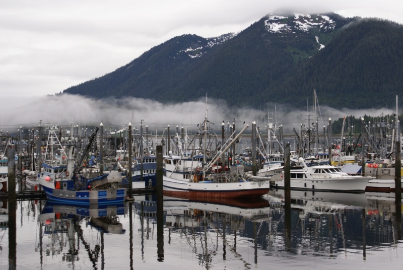 Petersburg Harbor 2