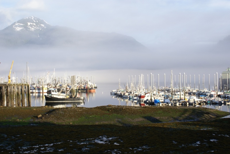 Petersburg Harbor 4