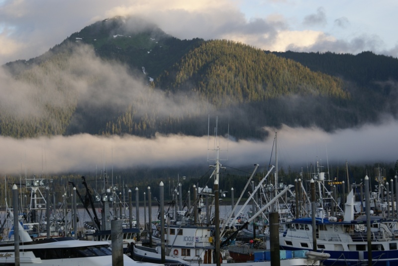 Petersburg Harbor 6
