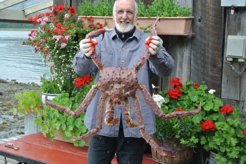Petersburg - July 2013 - King Crab from Thomas Bay