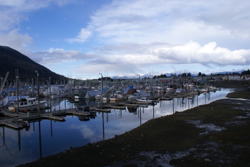 Petersburg, March 2012 054 - South Harbor