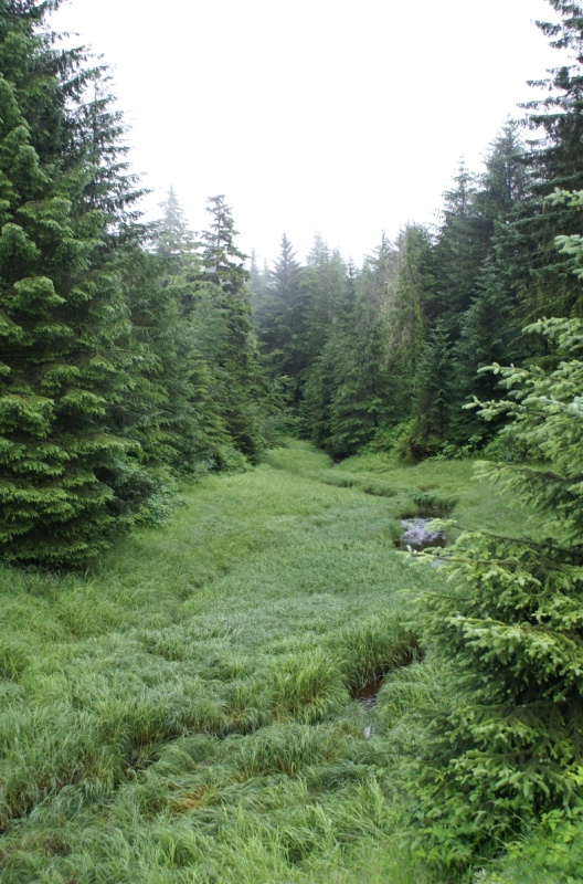 Petersburg, Small stream on Mitkof Is