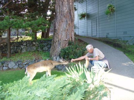 Petting the tame deer at Rosario, Orcas Island.