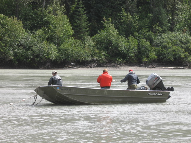 Picking the gill net