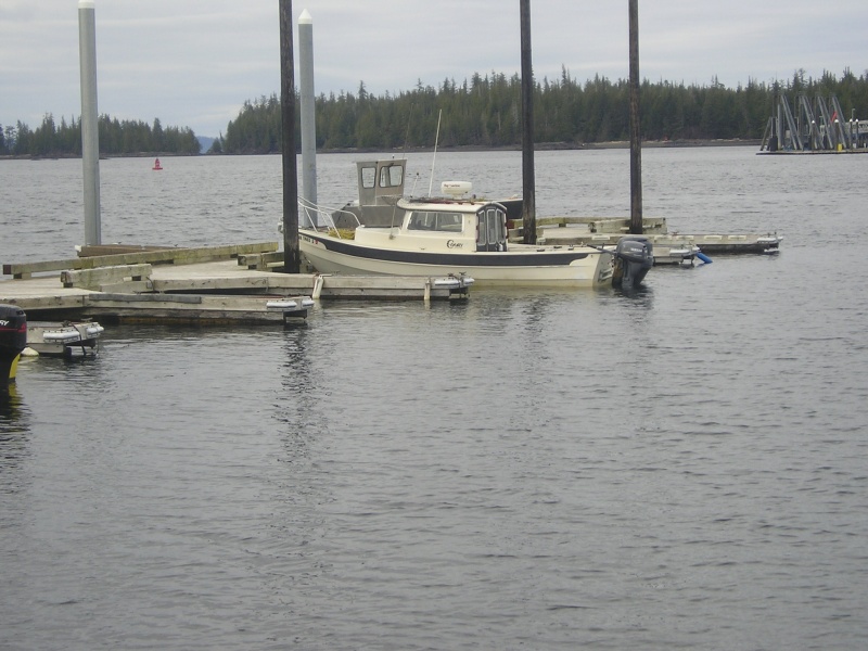 Picture 006