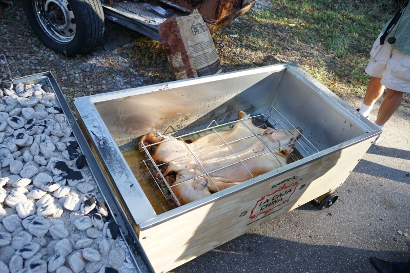 Pig fliped