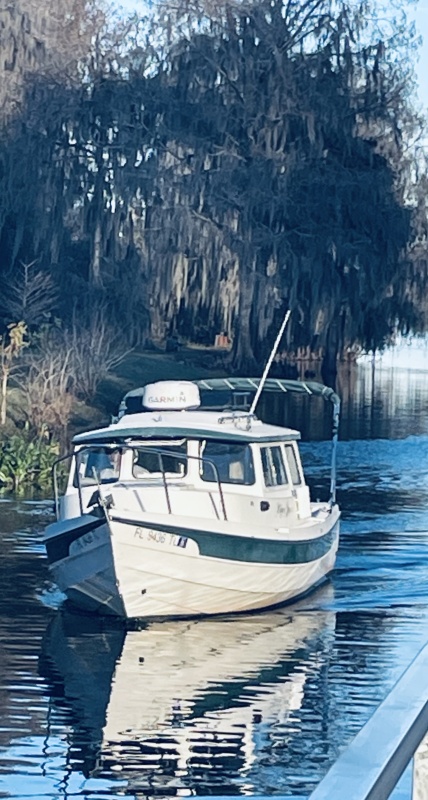 Piper Jane in Florida