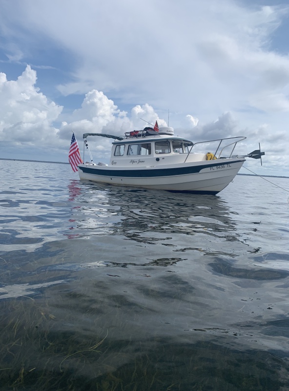 Piper Jane scalloping 2025